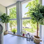 1og Links Helle 70m 2-zimmer Naehe Salzburg By Interhome *
