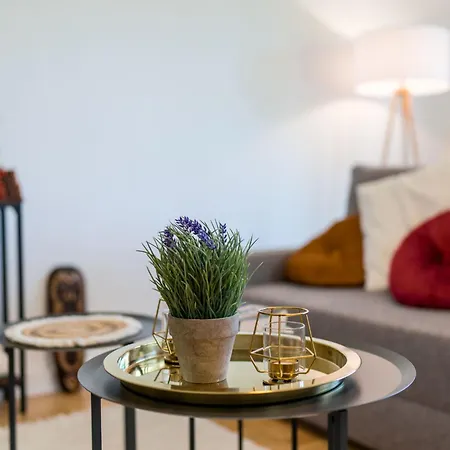 1og Links Helle 70m 2-zimmer Naehe Salzburg By Interhome דירה *